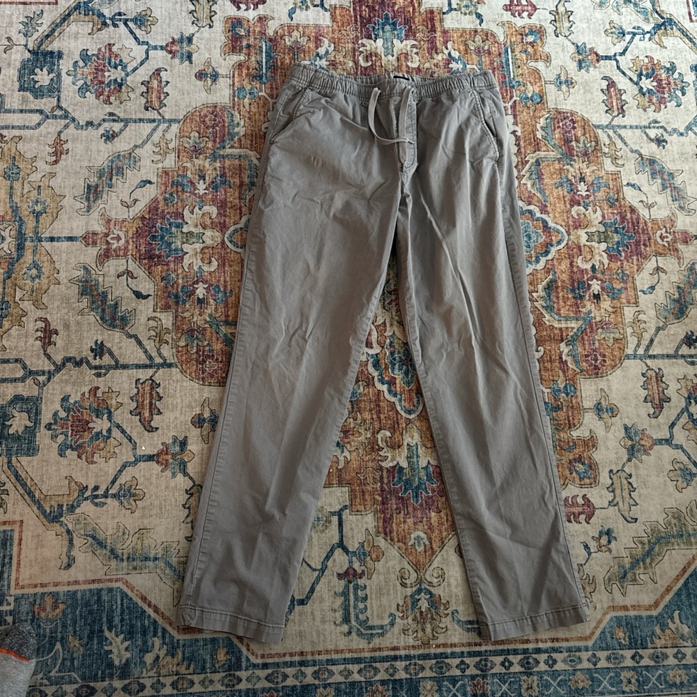 GAP Men's Gray Chinos